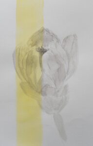 stroke of light -光の筆跡- / 2026 / watercolor on paper / F6