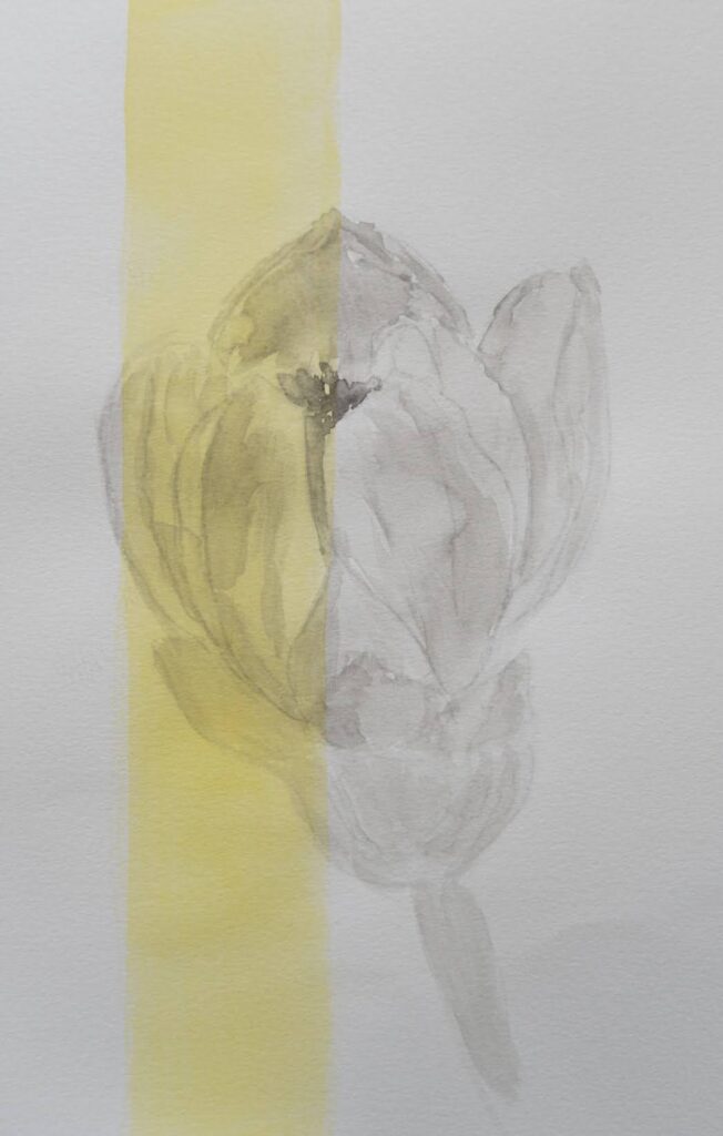 stroke of light -光の筆跡- / 2026 / watercolor on paper / F6