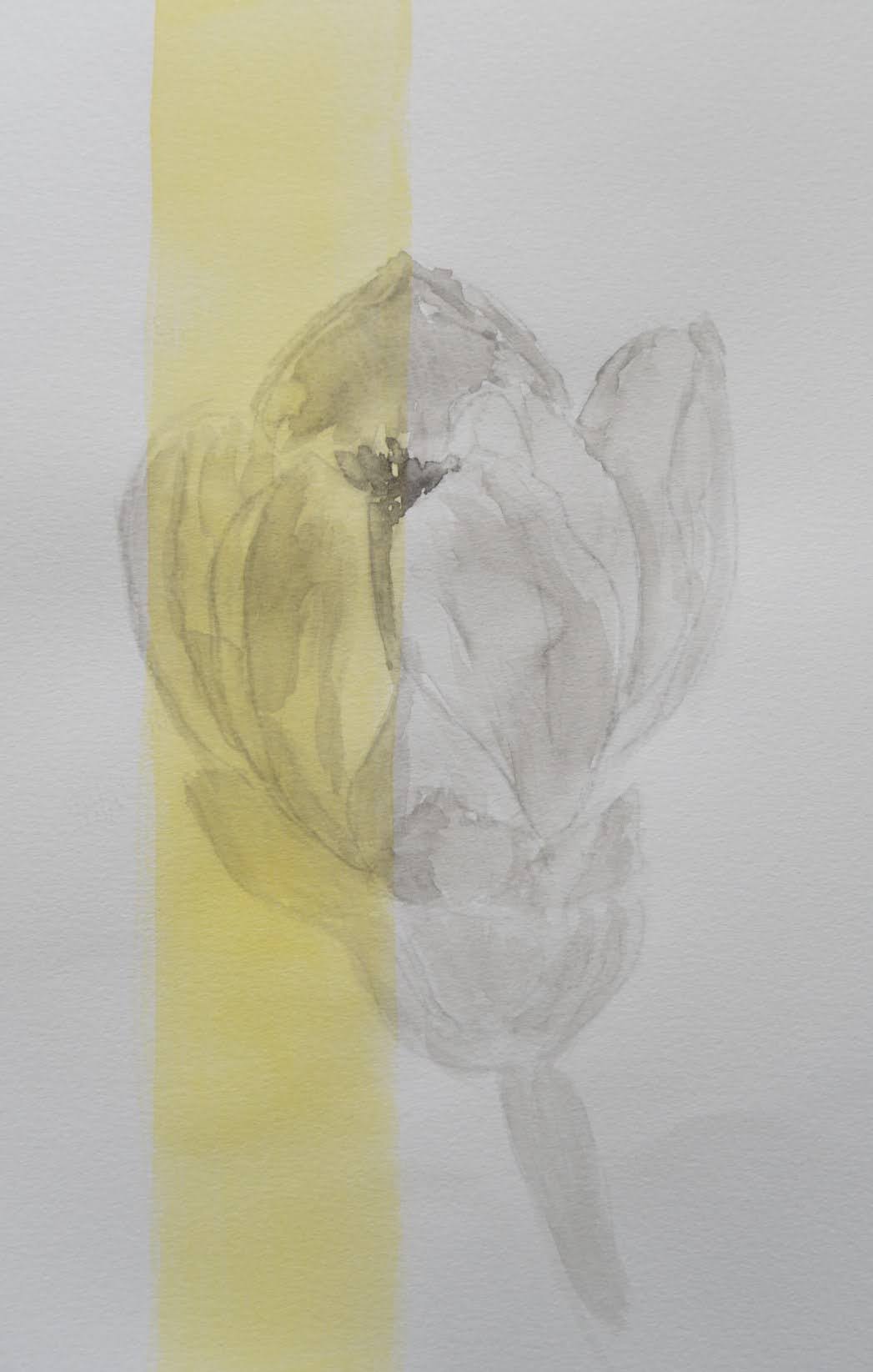 stroke of light -光の筆跡- / 2026 / watercolor on paper / F6