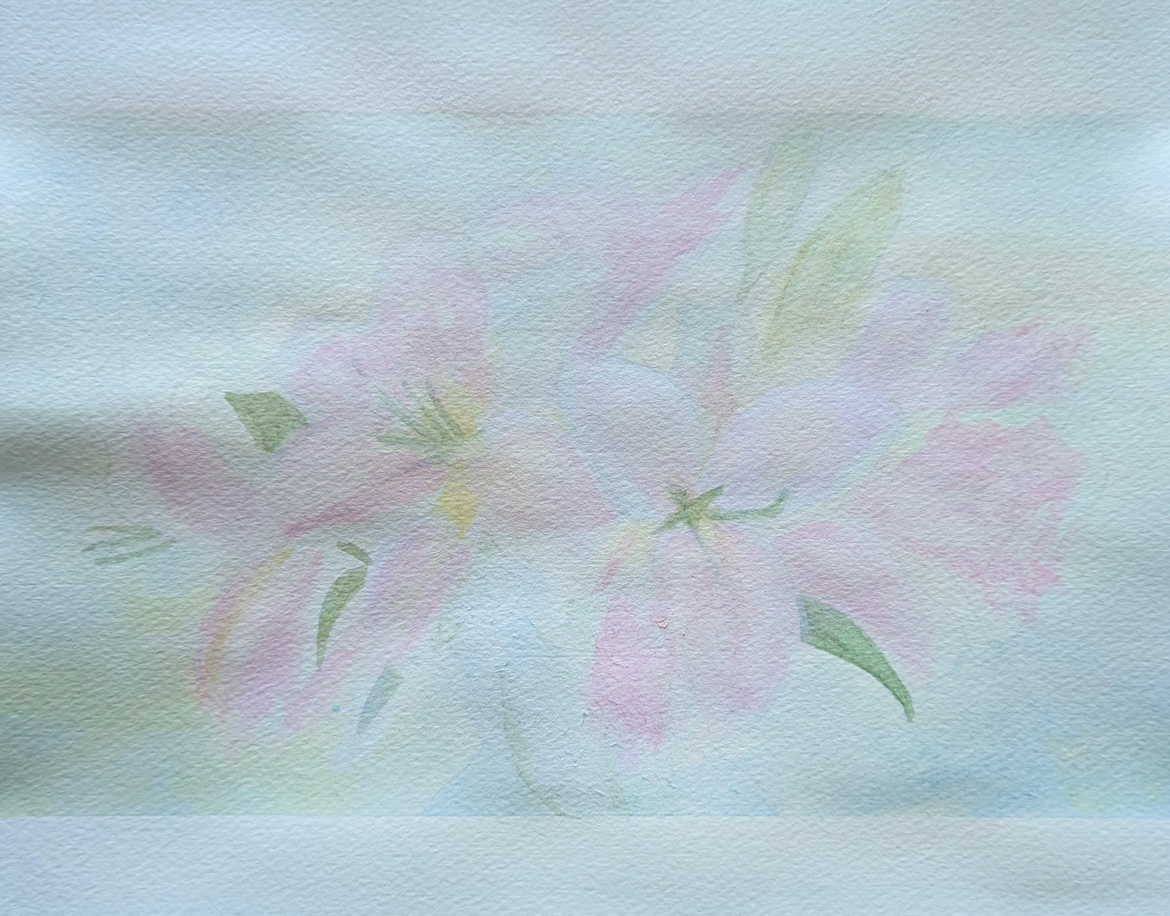 beyond the morning mist -朝霧の彼方- / 2026 / watercolor on paper / F6